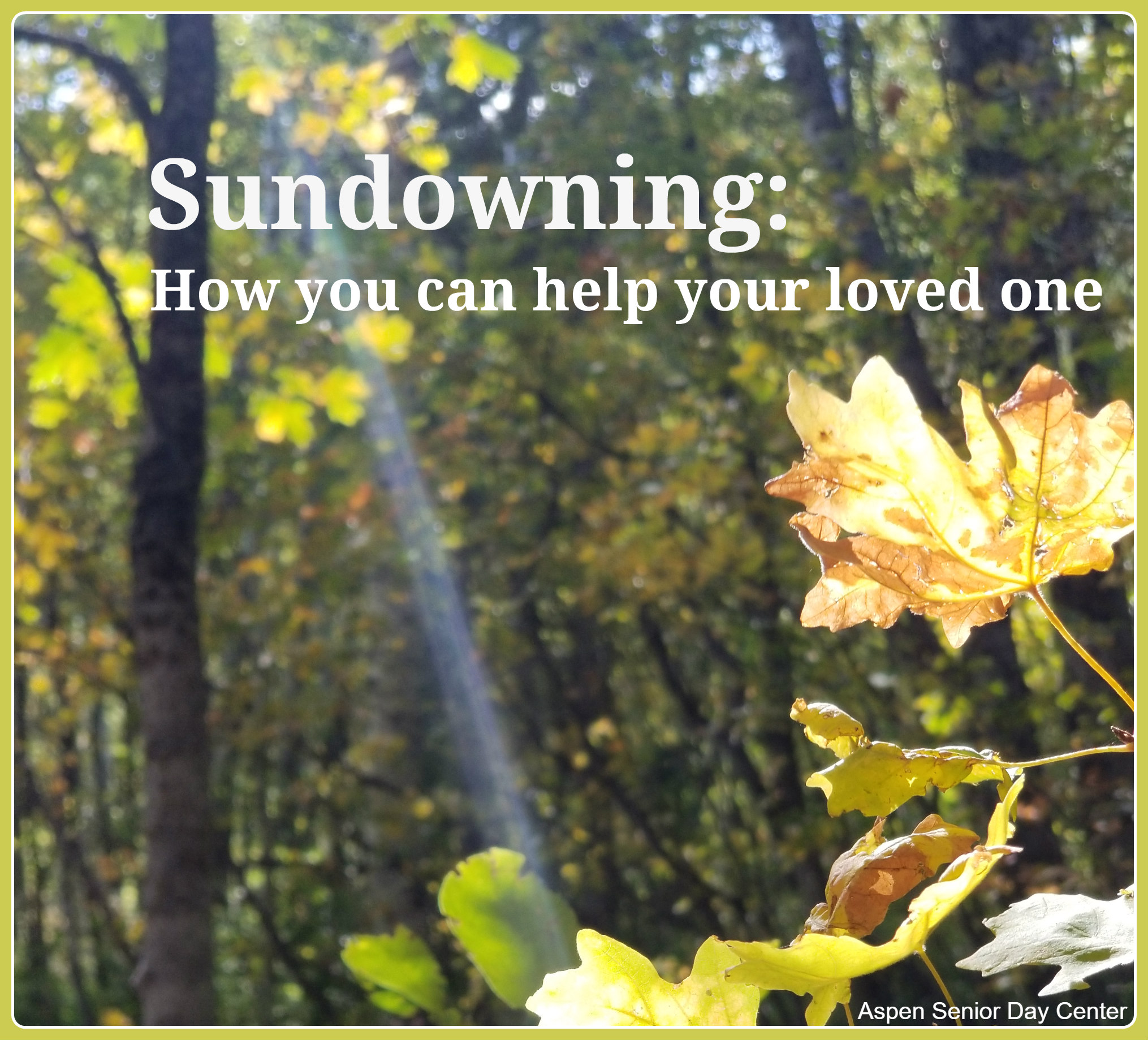 Sundowning: How you can help your loved one - Sunbeam in the fall trees